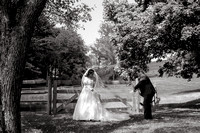 wp-bw-JandD-206