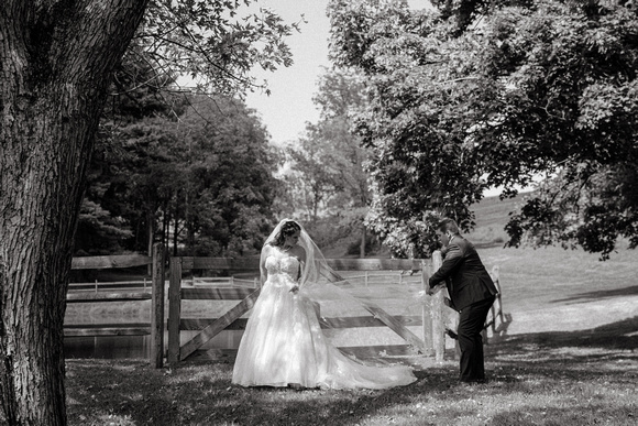 wp-bw-JandD-206